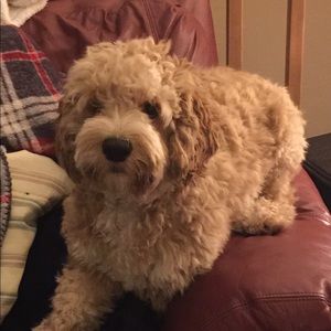 Meet your Posher, Julie